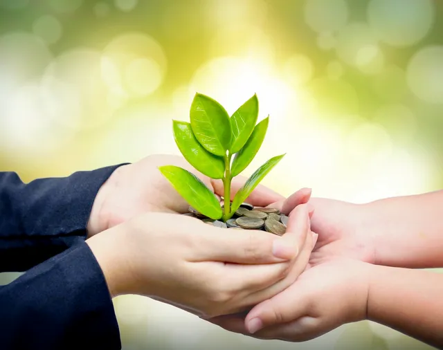 Two hands holding a small green plant.